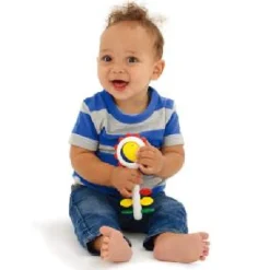 Ambi Sunflower Rattle