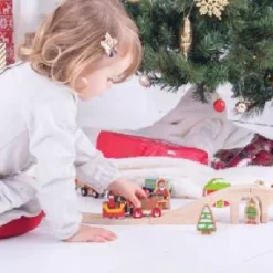 Bigjigs Christmas Santa Sleigh with Reindeer