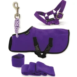 Crafty Ponies Fleece Rug Set