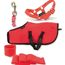 Crafty Ponies Fleece Rug Set