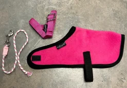 Crafty Ponies Foal Rug Set