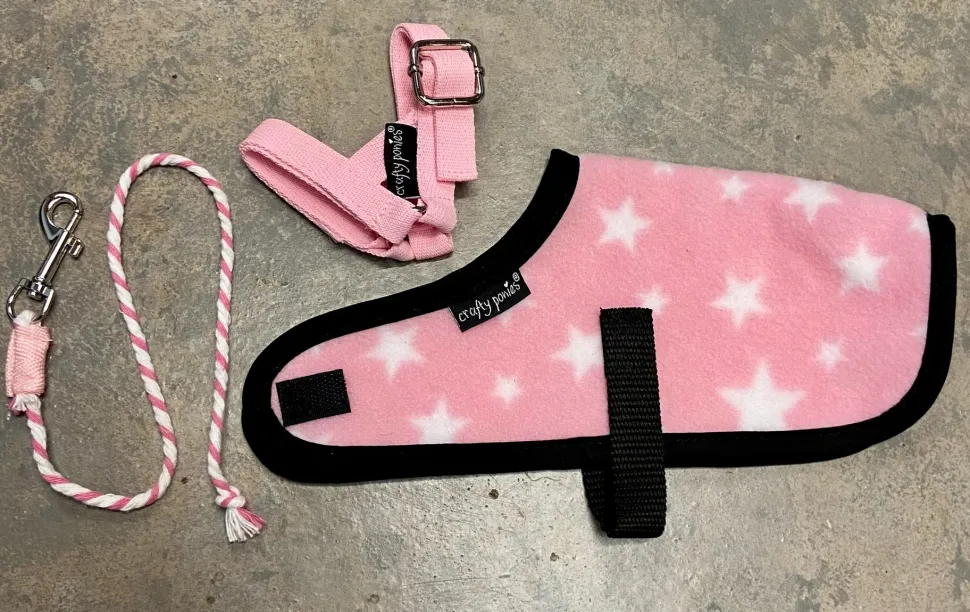 Crafty Ponies Foal Rug Set