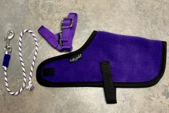 Crafty Ponies Foal Rug Set