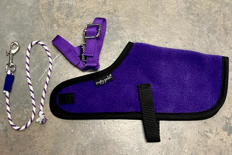 Crafty Ponies Foal Rug Set