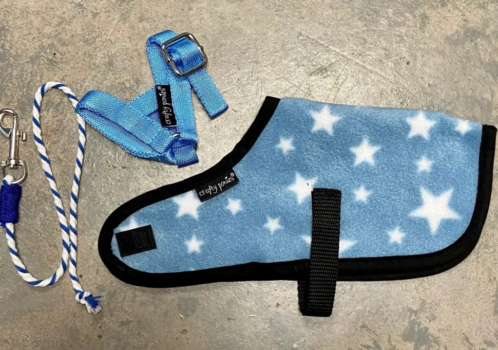 Crafty Ponies Foal Rug Set
