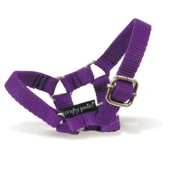 Crafty Ponies Head Collar