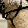 Crafty Ponies Leather Martingale with reins to fit onto your Bridle