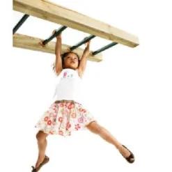 KBT Monkey Bar