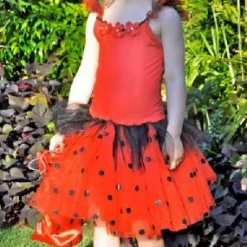 Pink Poppy Ladybug Fairy Dress with wings