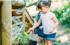 Plum Discovery Woodland Treehouse