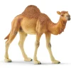 Schleich Dromedary / One Hump Camel