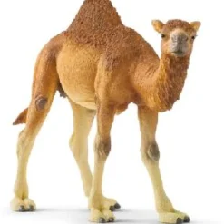 Schleich Dromedary / One Hump Camel