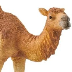 Schleich Dromedary / One Hump Camel