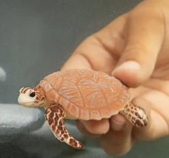 Schleich Hawksbill Turtle