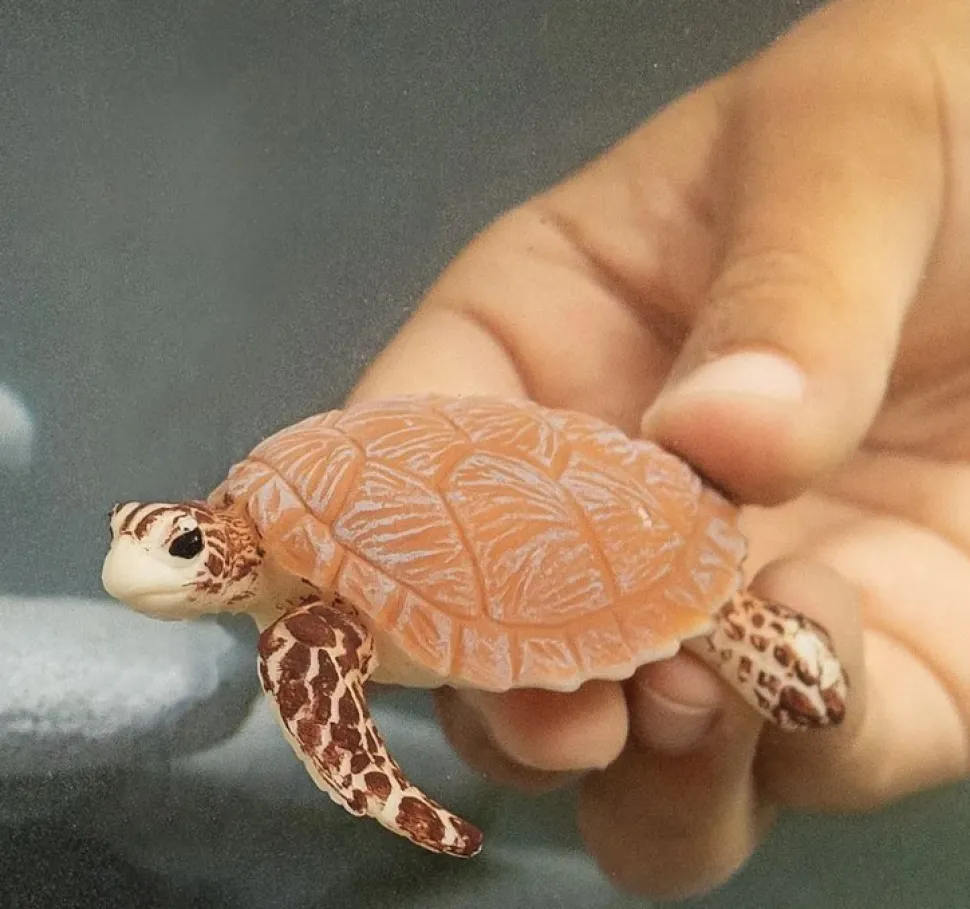 Schleich Hawksbill Turtle