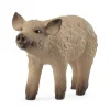 Schleich Mangalica Piglet