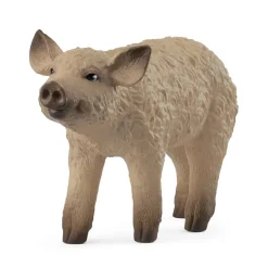 Schleich Mangalica Piglet