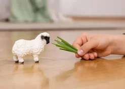 Schleich Valais Black Nose Sheep 13965