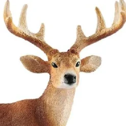 Schleich White Tailed Buck