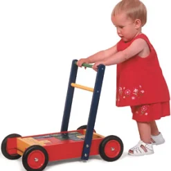 Tidlo Baby Walker and Alphabet Blocks