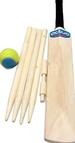 TP Cricket Set in a Bag