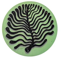 Waboba Wingman Silicone Flying Disc Artist