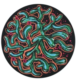 Waboba Wingman Silicone Flying Disc Artist