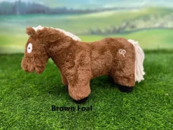 Crafty Ponies Foal