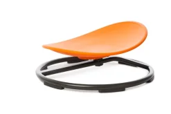 Gonge Carousel Spinning Seat