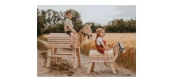 Legler Wooden Horse