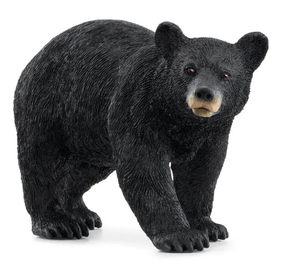 Schleich American Black Bear 14869