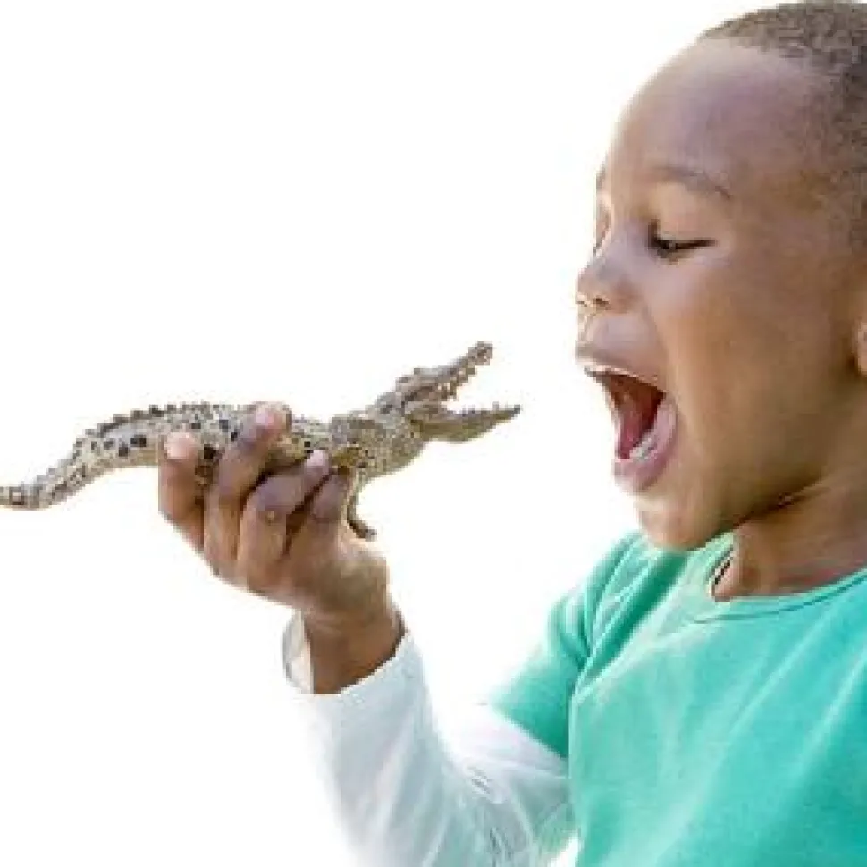 Schleich Crocodile