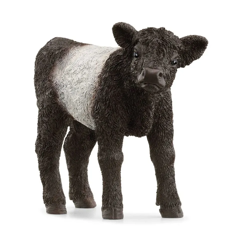 Schleich Galloway Calf 13969