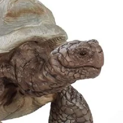Schleich Giant Tortoise