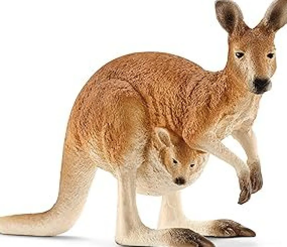 Schleich Kangaroo 14756