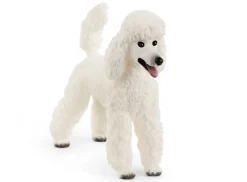 Schleich Poodle