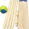 TP Cricket Set in a Bag